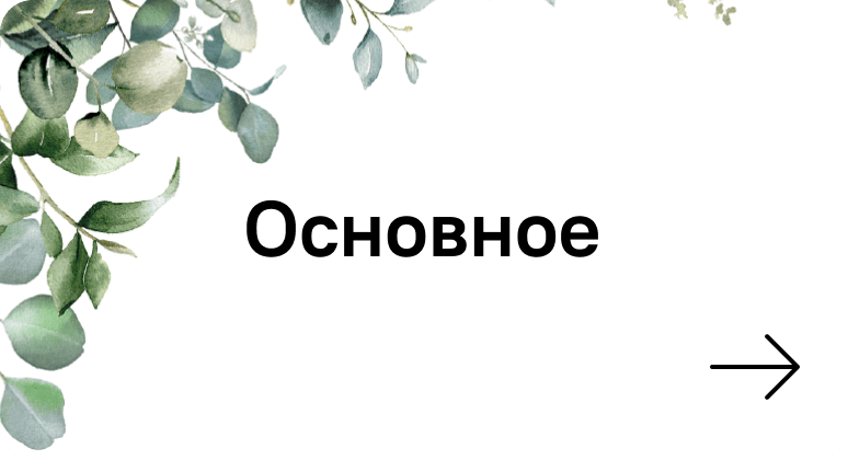 Основное
